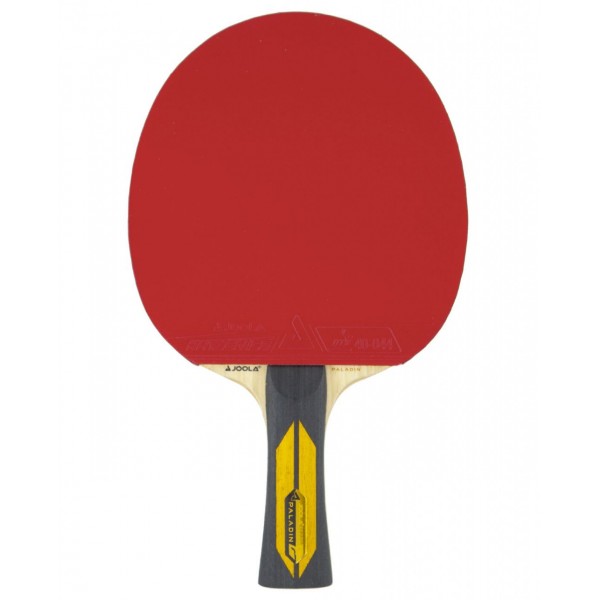 Racket JOOLA PALADIN RHYZEN ICE