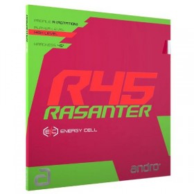 andro Rasanter R45